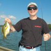 Bluegill David Allan August 2008